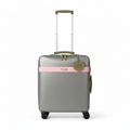 Silver suitcase with a pink band and green tag on a white background